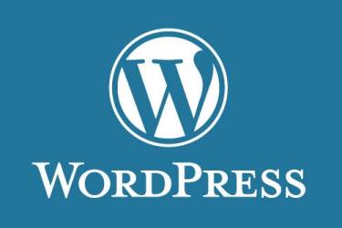 不进数据库就能批量删除 WordPress 插件残留的自定义栏目