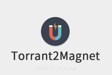 磁力链接和 BT 种子互转工具 Torrant2Magnet 绿色版